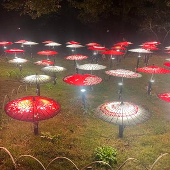 ザ・登山🌱 Ⓟ