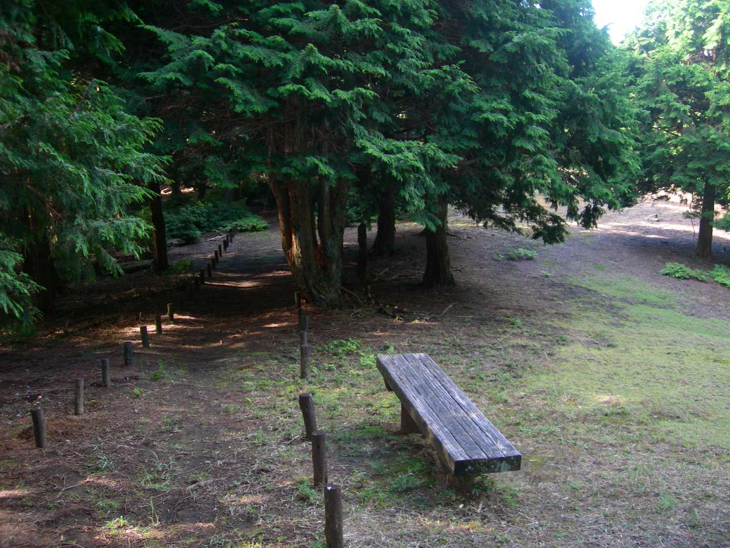 かもしか高原