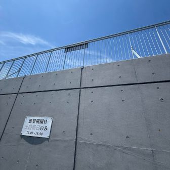 残念ながら展望台には到着ならず