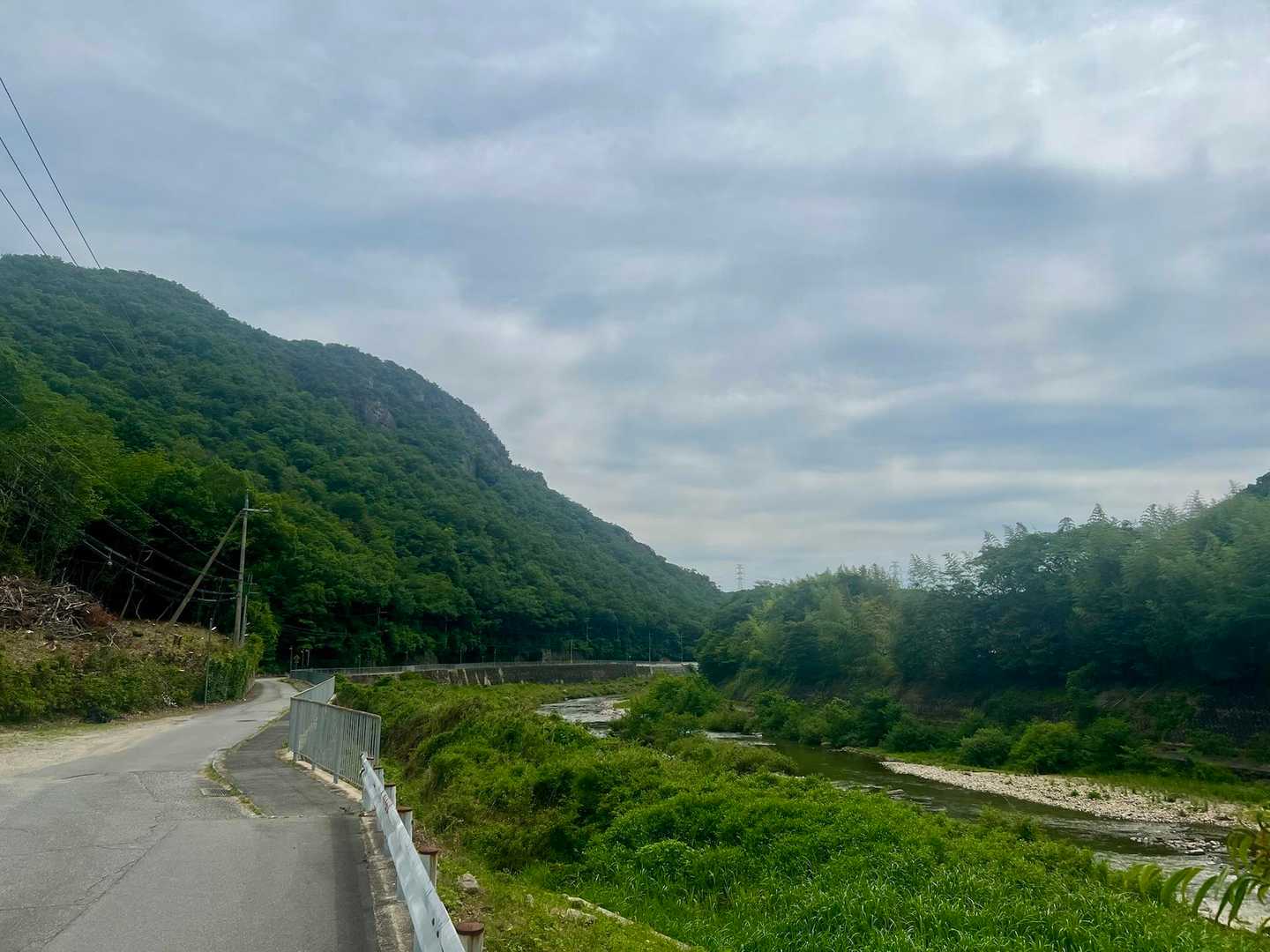太陽と緑の道・千苅大岩岳コースの写真