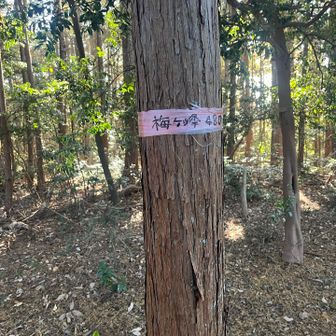 梅ヶ峰480メートル
周助山から標高200メートルあげてきた
この先の竹寺とほぼ同じ標高