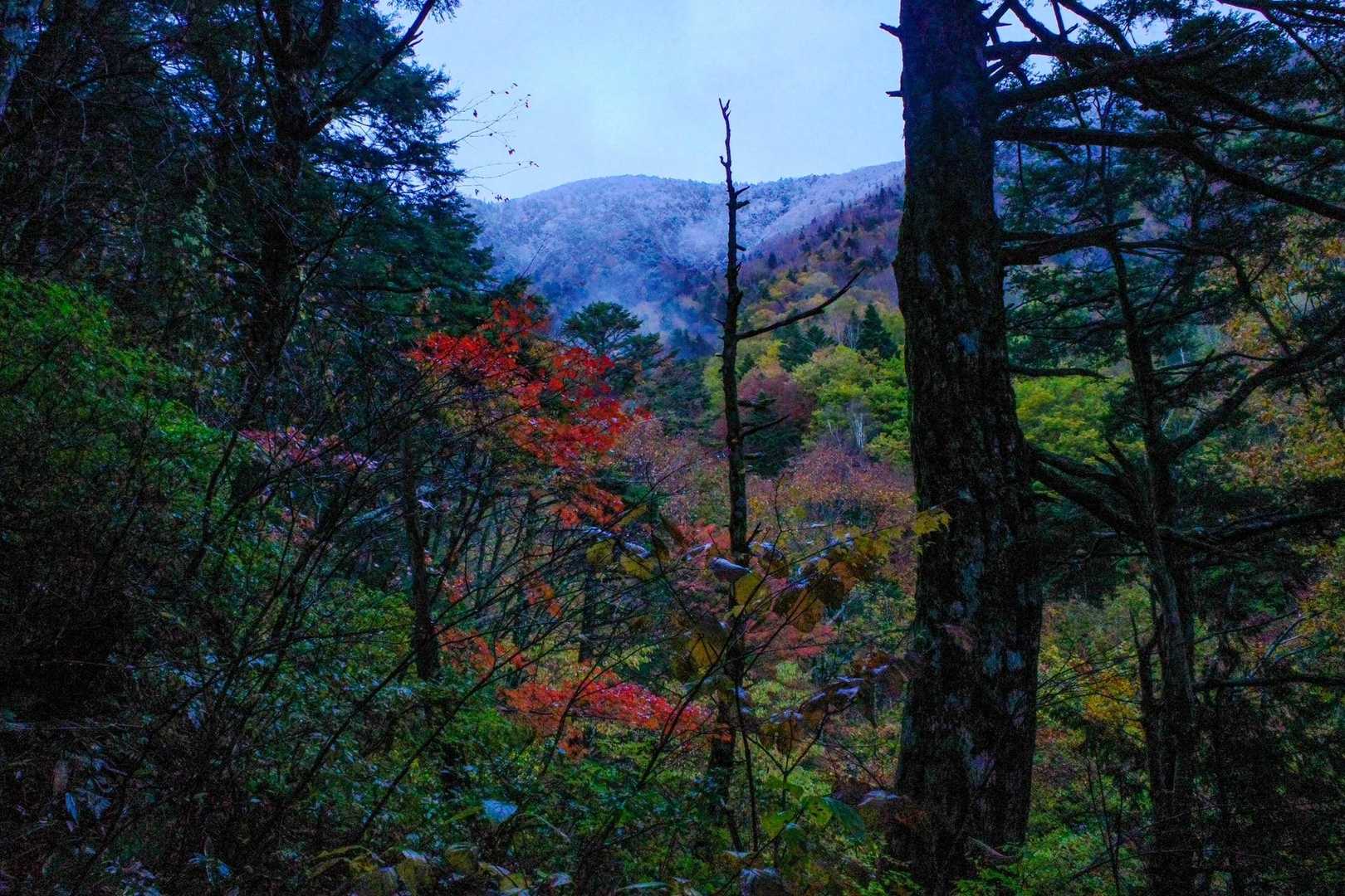前常念岳 | 視界を埋め尽くす巨岩帯、限界の先に現れる美しき北アルプスの主脈の写真