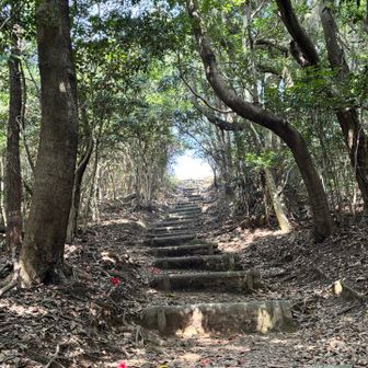 いつものトンネル