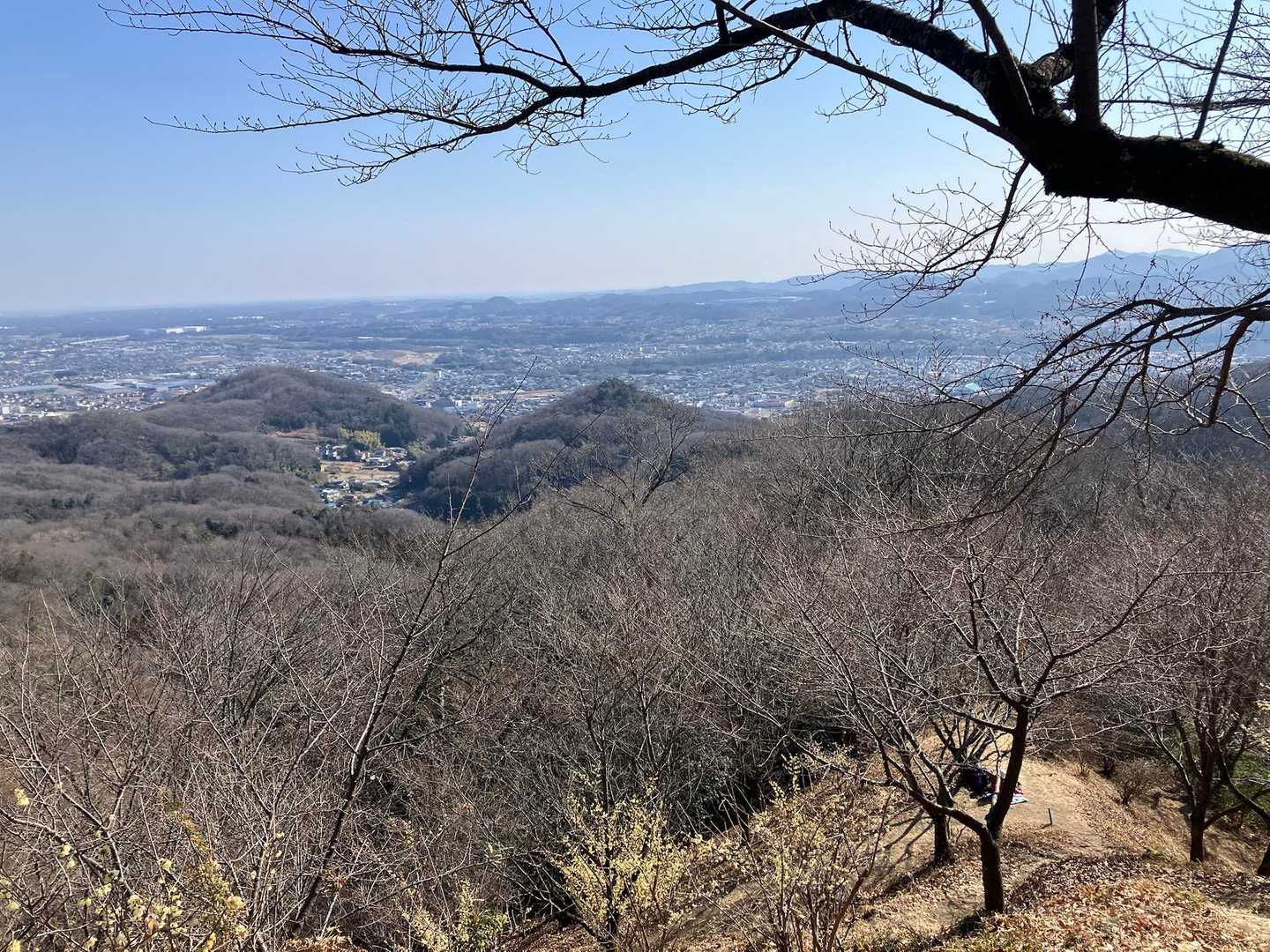 景色と蝋梅の香り