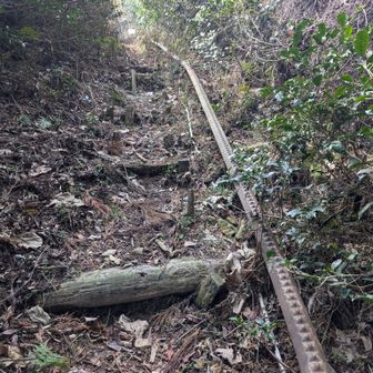 お茶運搬のモノレール！