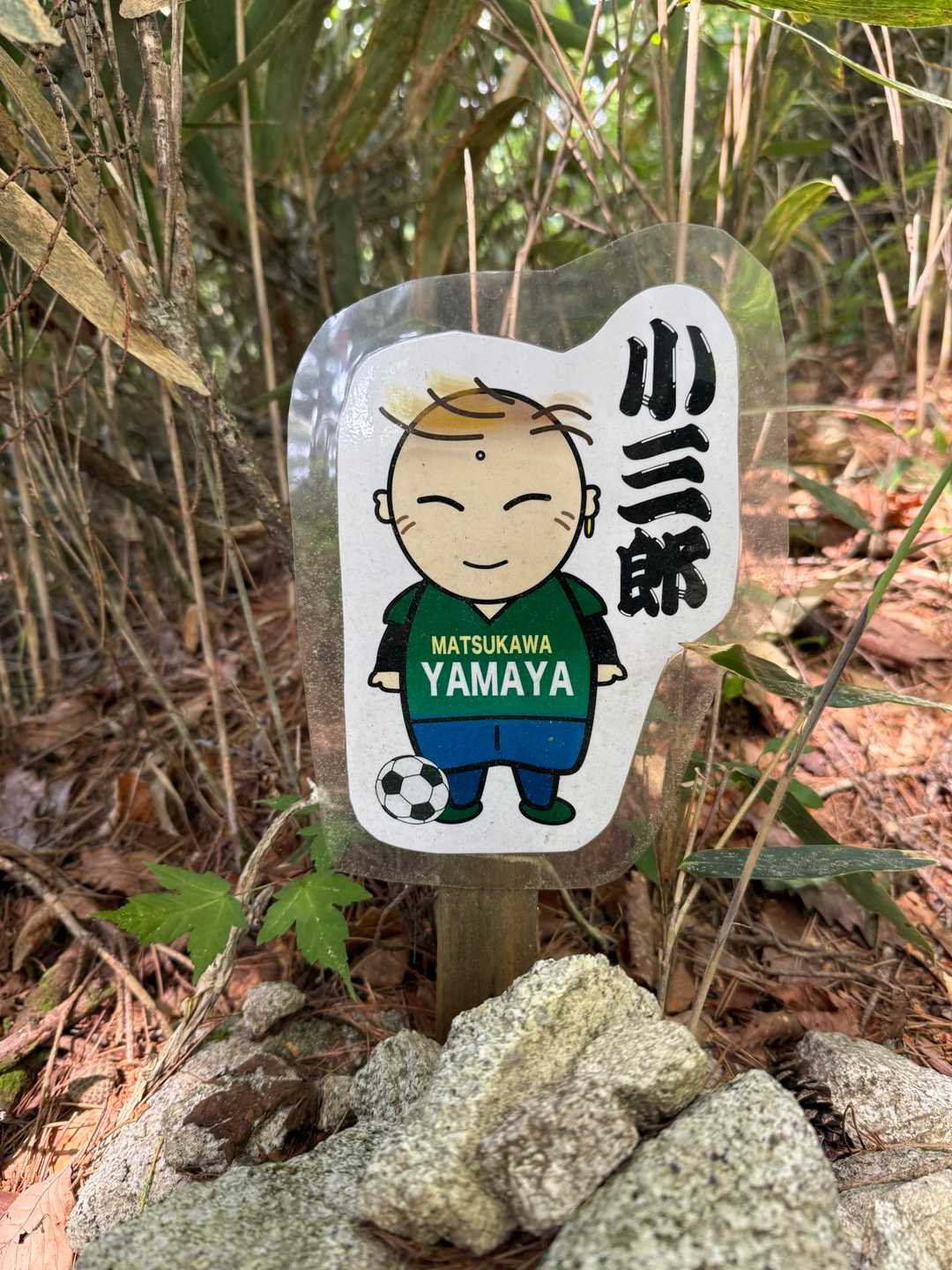 小三郎くん
部活⚽️やってるのかな🎶