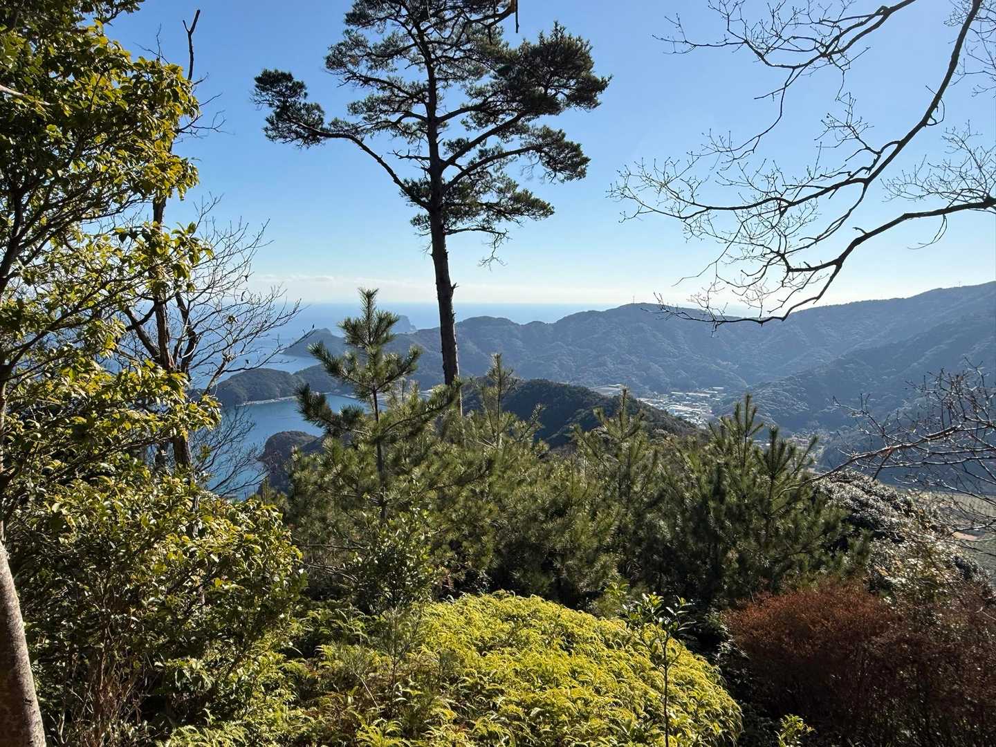 海がちょっとだけ🌿