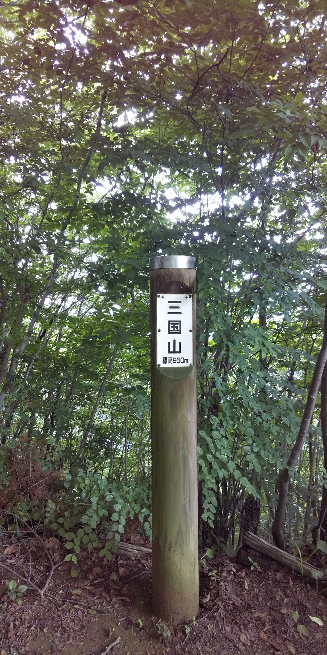 三国山山頂。ここには、ベンチ等が有りましたので、ランチ休憩を取りました。