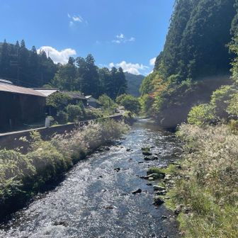 上流は安曇川、ここは百井川なのかな。