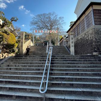 駅直結で神社あって、新成人がいっぱいいた