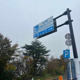 サクッと下山〜⛰️😆🙌

大雨が降る前に下山できて良かった〜

この後、和歌山県北部では線状降水帯が発生して、大雨になったみたい☔️