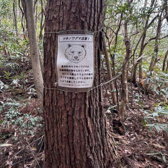 指名手配されています。。。
なかなかの人相（熊相🐻）。。。