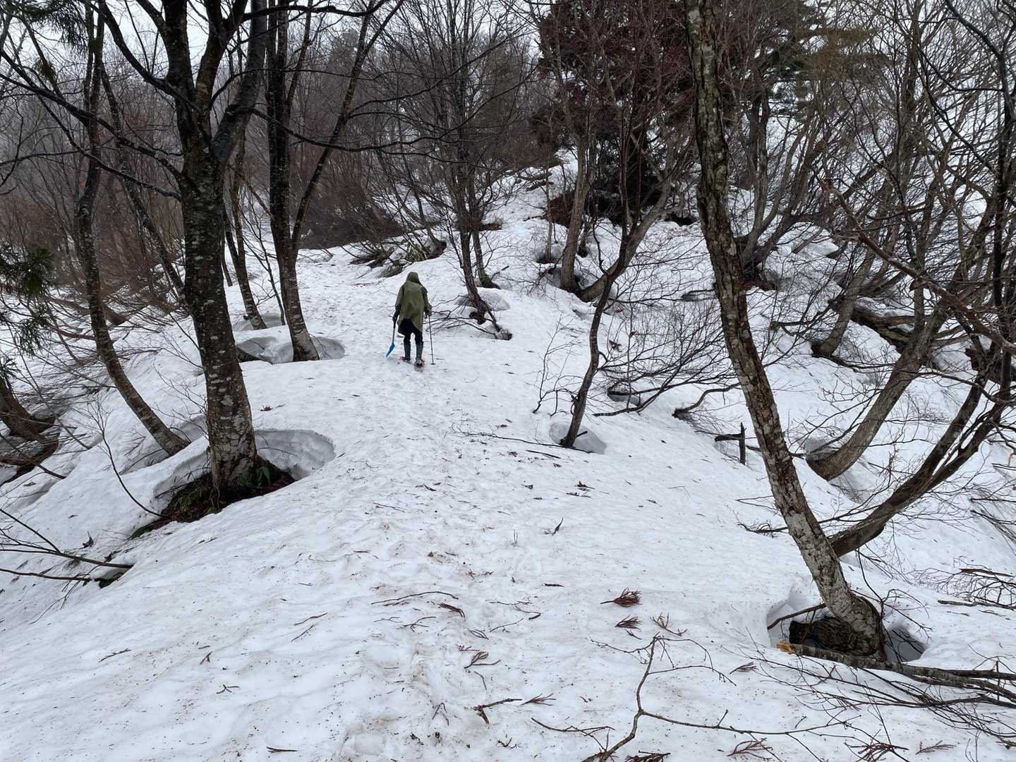 ツリーホールも大きく開いています🕳️