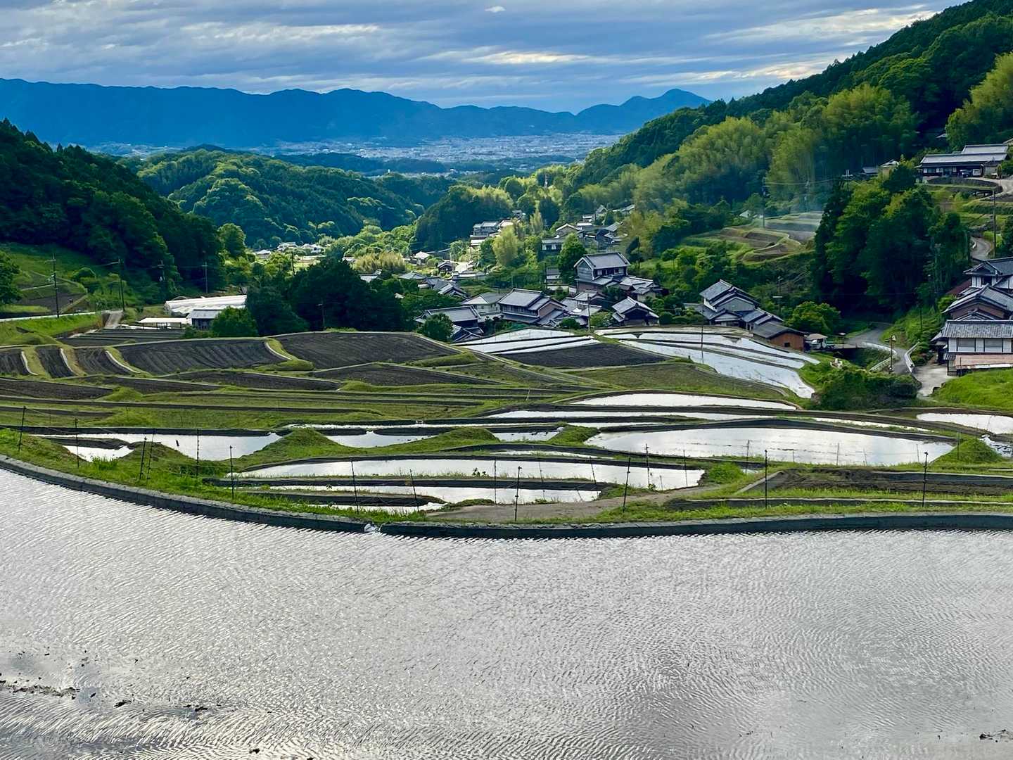 そろそろ棚田に水がはられてきた頃だろうと / やまちゃんさんの
