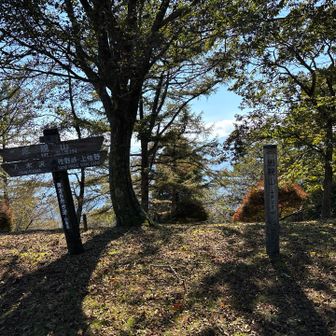 思親山登頂‼︎⛰️(1031m)