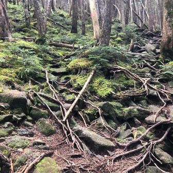 せきじんせきば