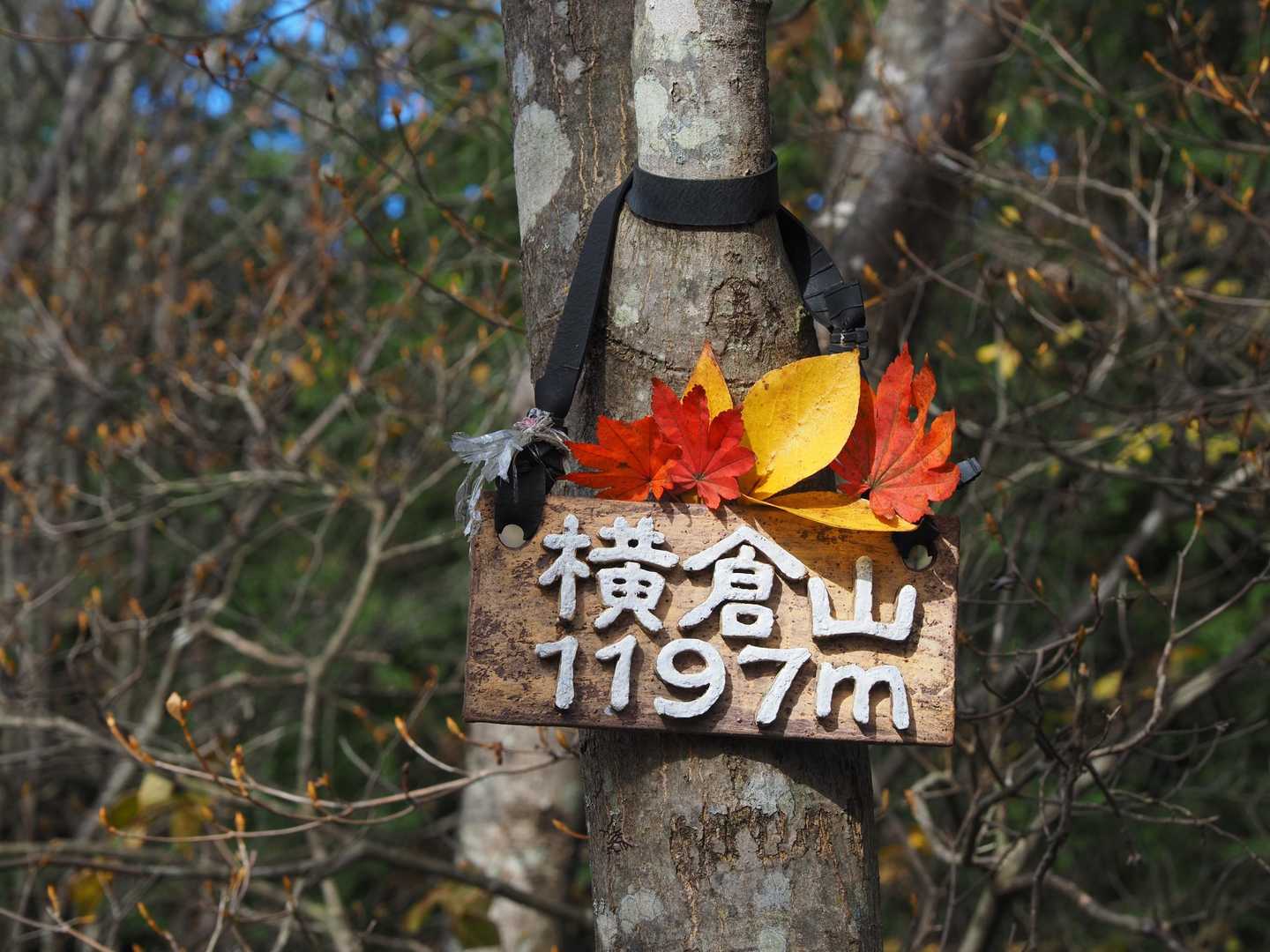 横倉山