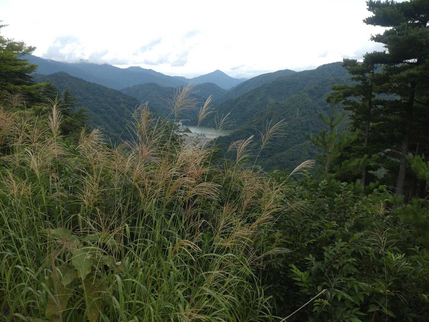 熊野神社-熊野山 往復コースの写真