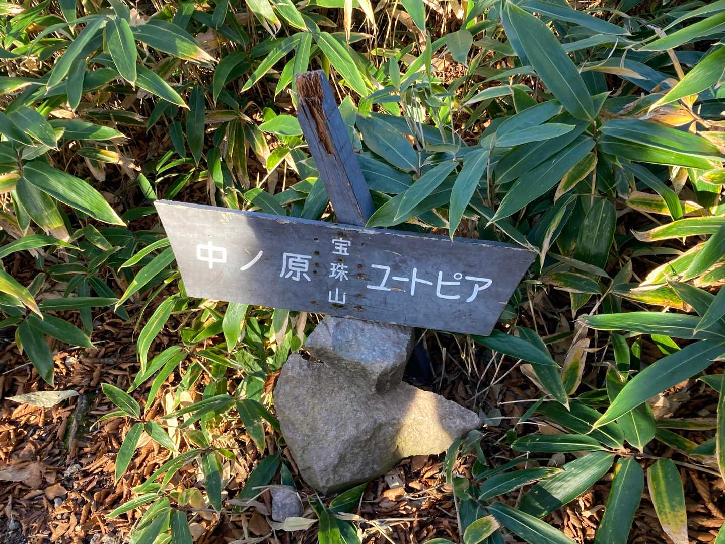 宝珠山！