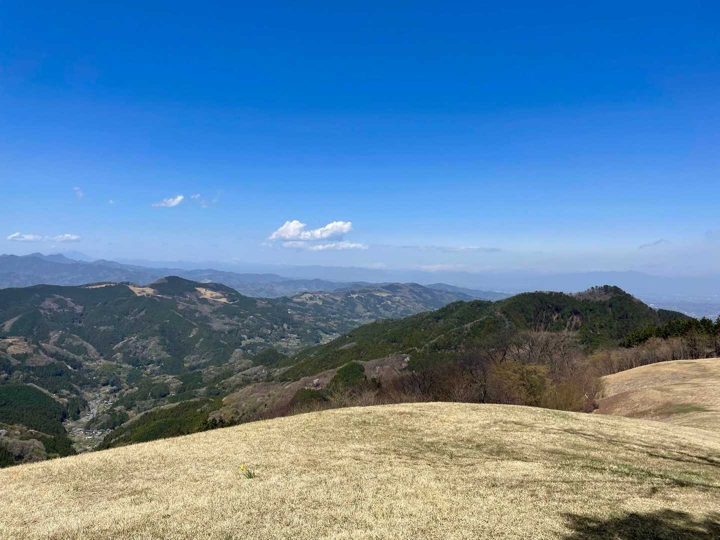 大霧山やこれから行く秩父高原牧場も見えます🐏