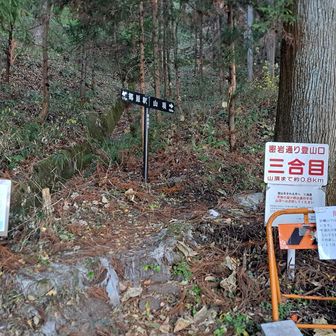 密岩通り登山口　親子熊注意