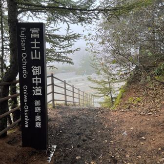 富士スバルライン五合目が見えた
なんだかガスガスで白い
富士山 御中道もここで終わり