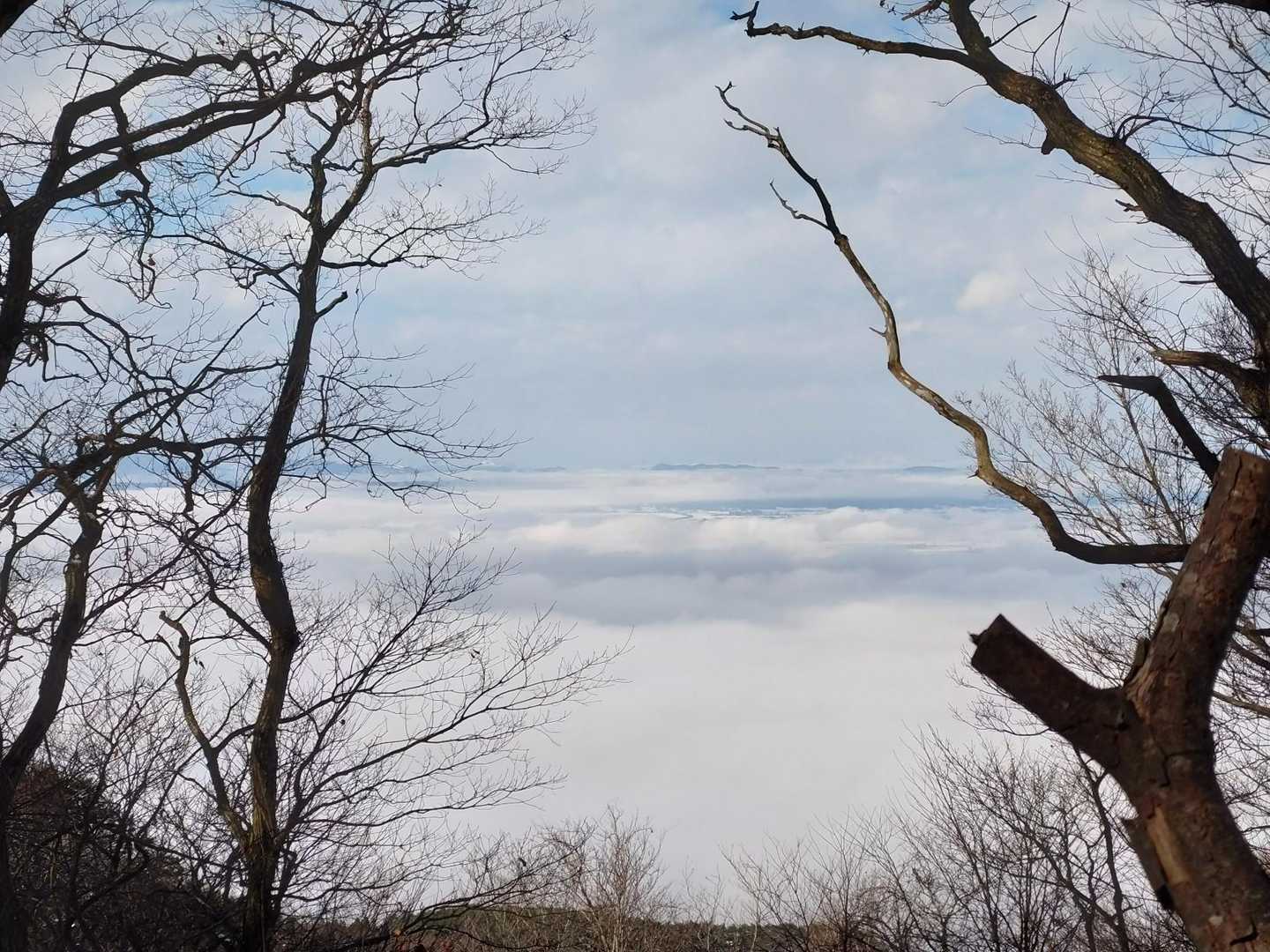 稜線に出ると…なんと、雲海😚