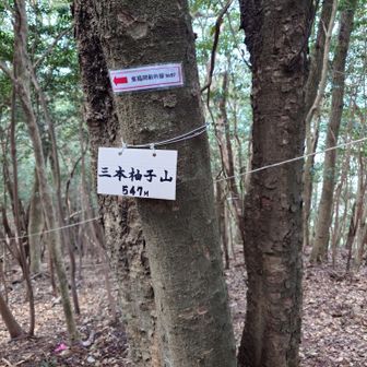 8座目とうちゃこ