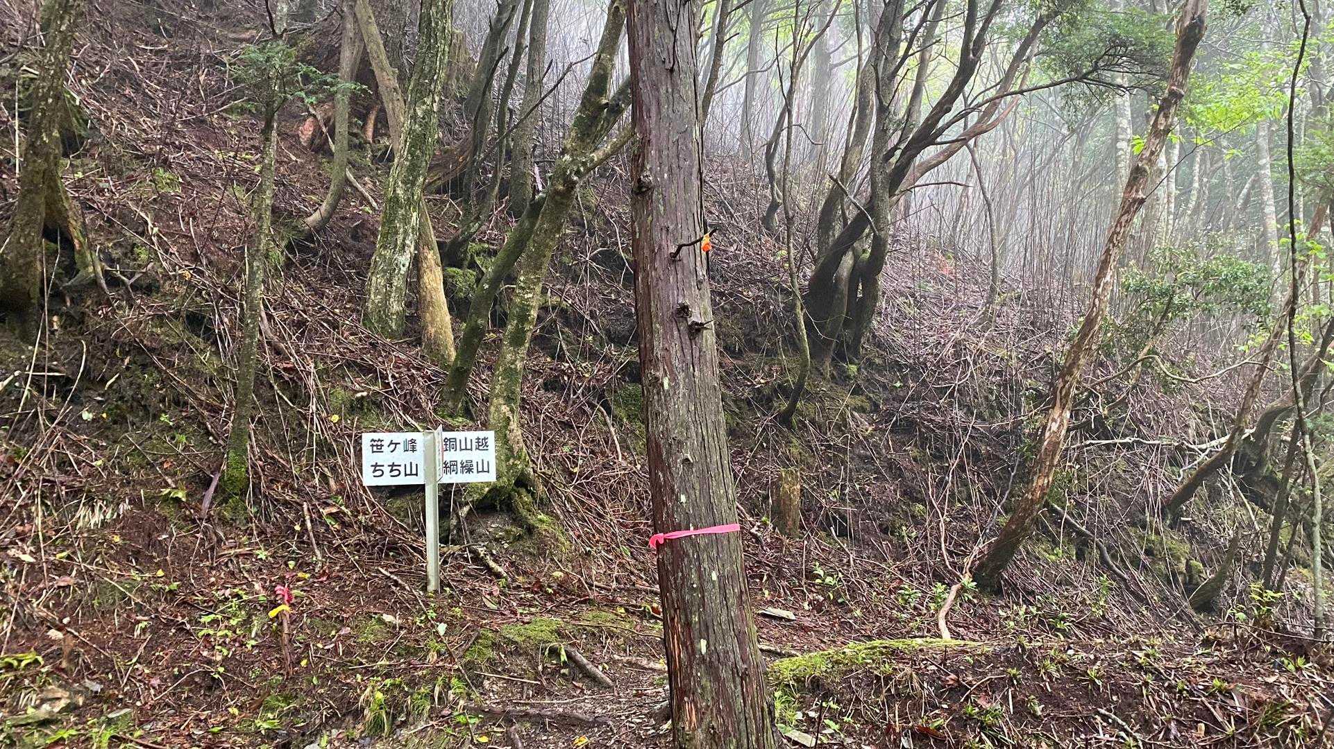 ここから右へ
西山までは初めて歩くルート