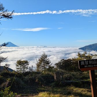 雲海がすごい