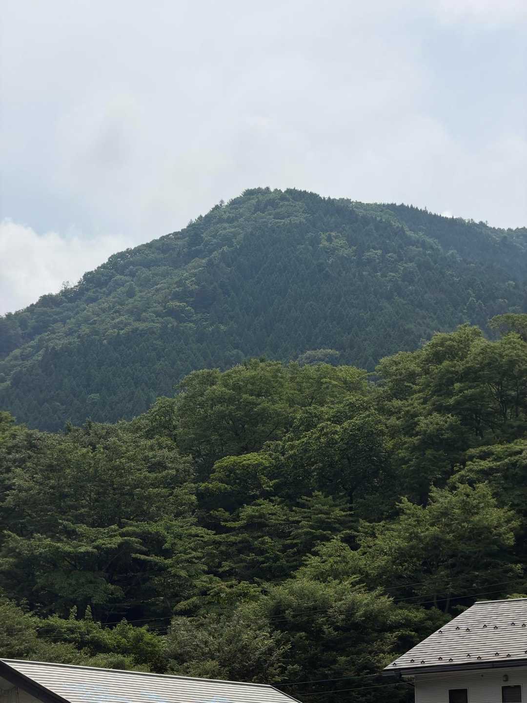道の駅どうしからの鳥の胸山