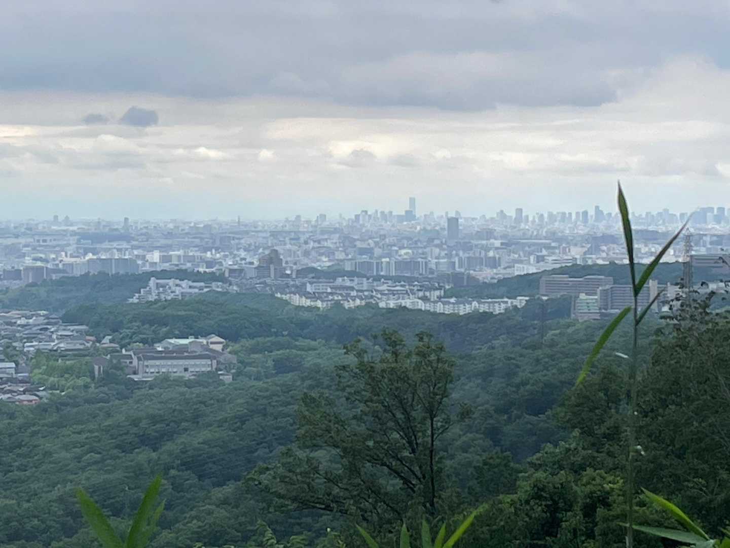 遠くにあべのハルカス