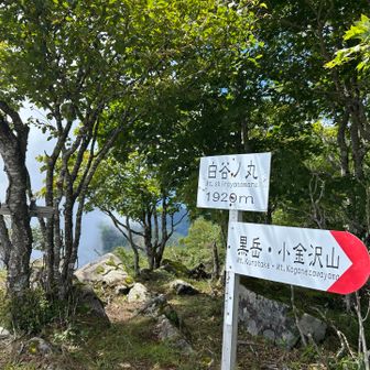 6座目。
・白谷ノ丸(1920m)