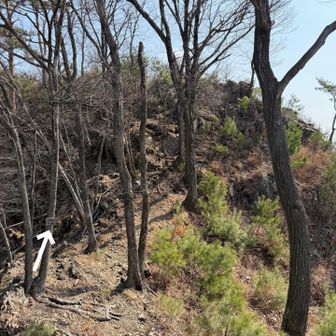 それを越えると孫仙人への登り
孫仙人は岩岩してた

巻道が用意されてたようですが全く気づかず😵