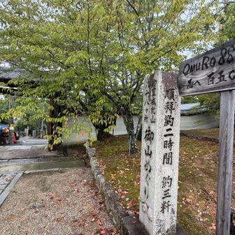 御室成就山八十八ヶ所巡りは、だいたい2時間コースとのこと