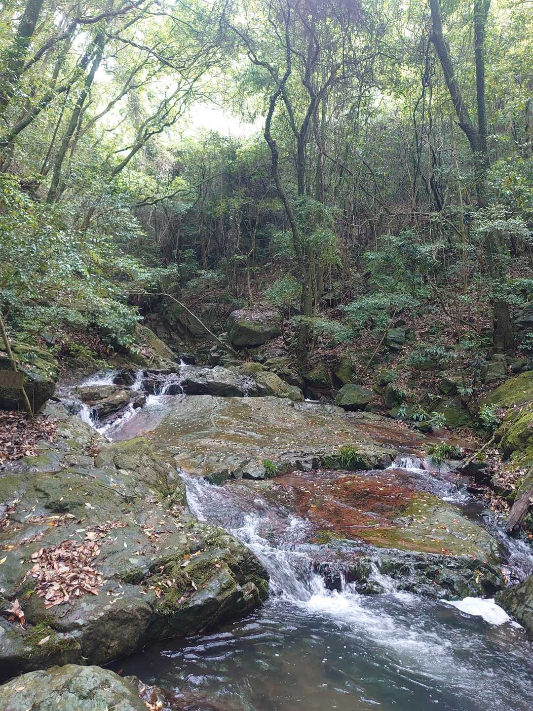 大平山 往復コースの写真
