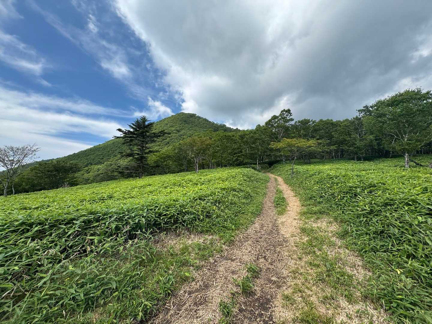 目指す丸山