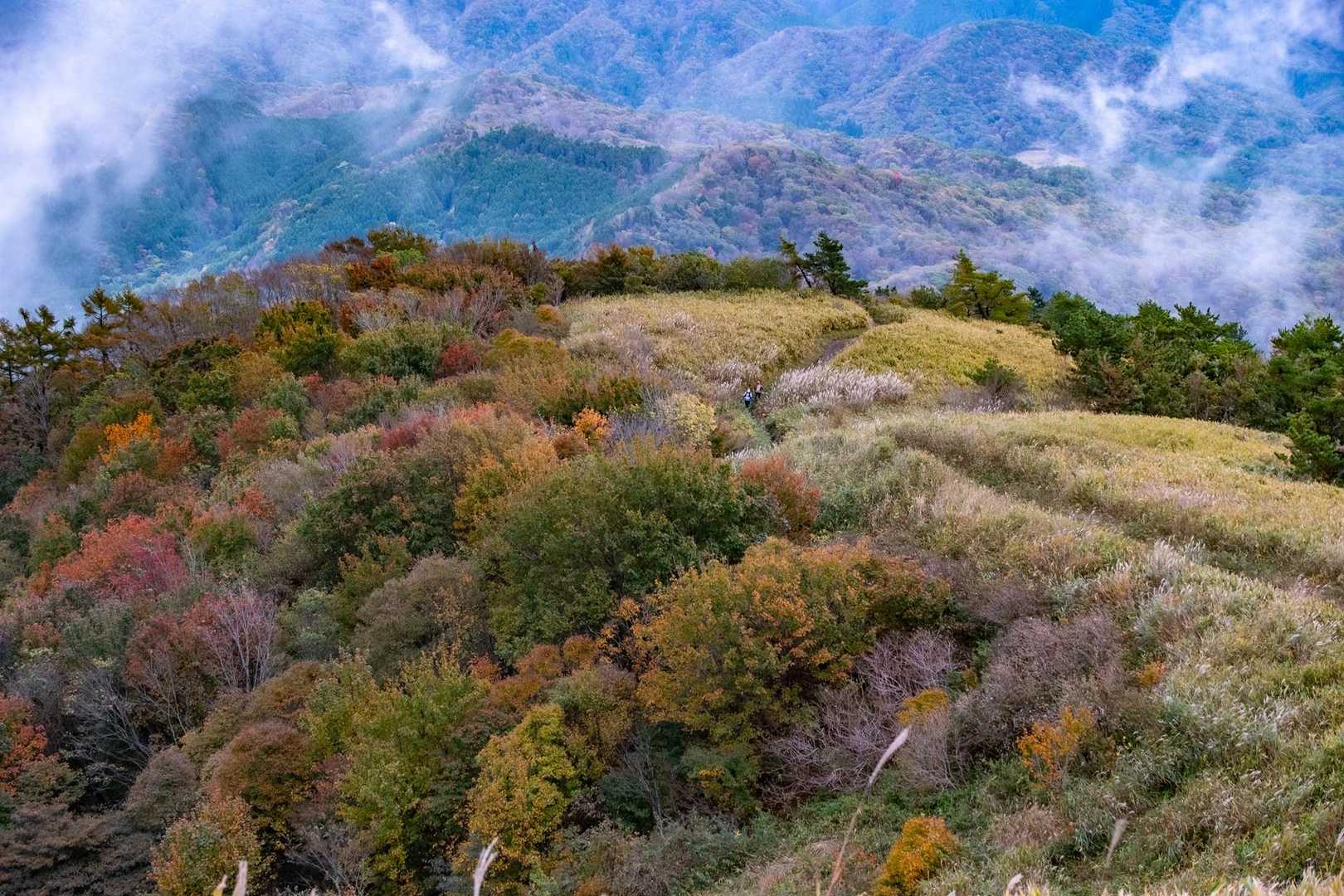 後続の登山者