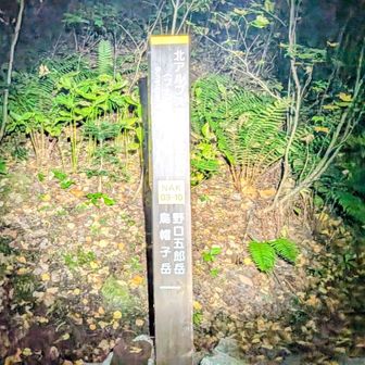 暗闇の中、2回ほどロストしながらブナ立尾根登山口😅