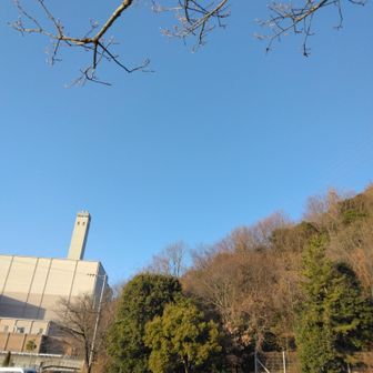 駐車場🚙に戻りました↩