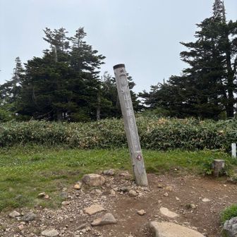 山頂！