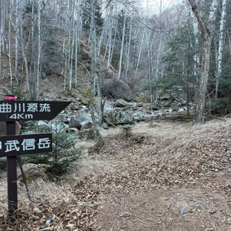 ちょいちょい出てくる千曲川源頭部への標識。