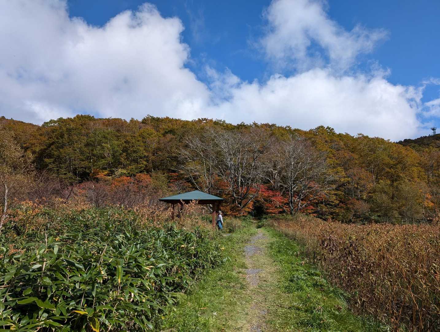 鳥兜駅発着｜日本百名山・蔵王山の沼めぐり周回コースの写真