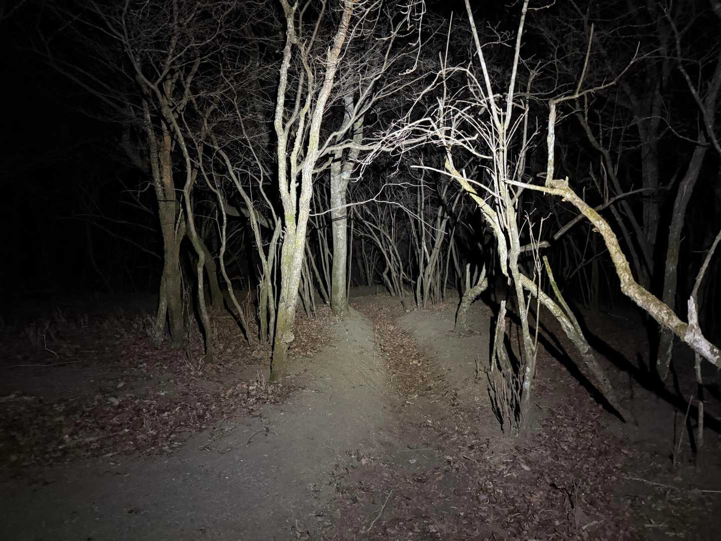 あっという間に下山
