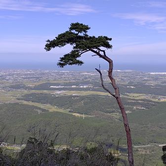 金色渓谷からの八面山2026.10.3 / たいちのウォーキングデータ | YAMAP