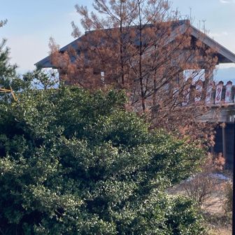 そろそろ　おしまいです。