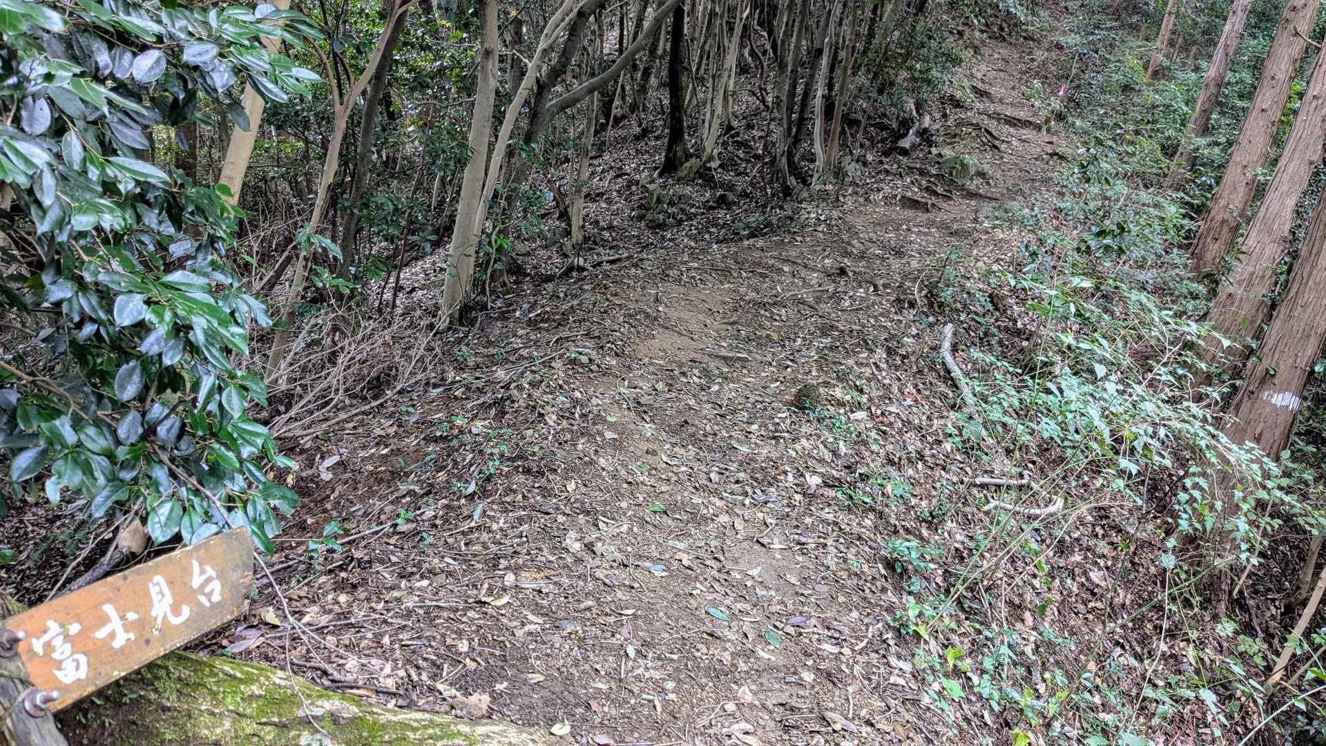 富士見台へ