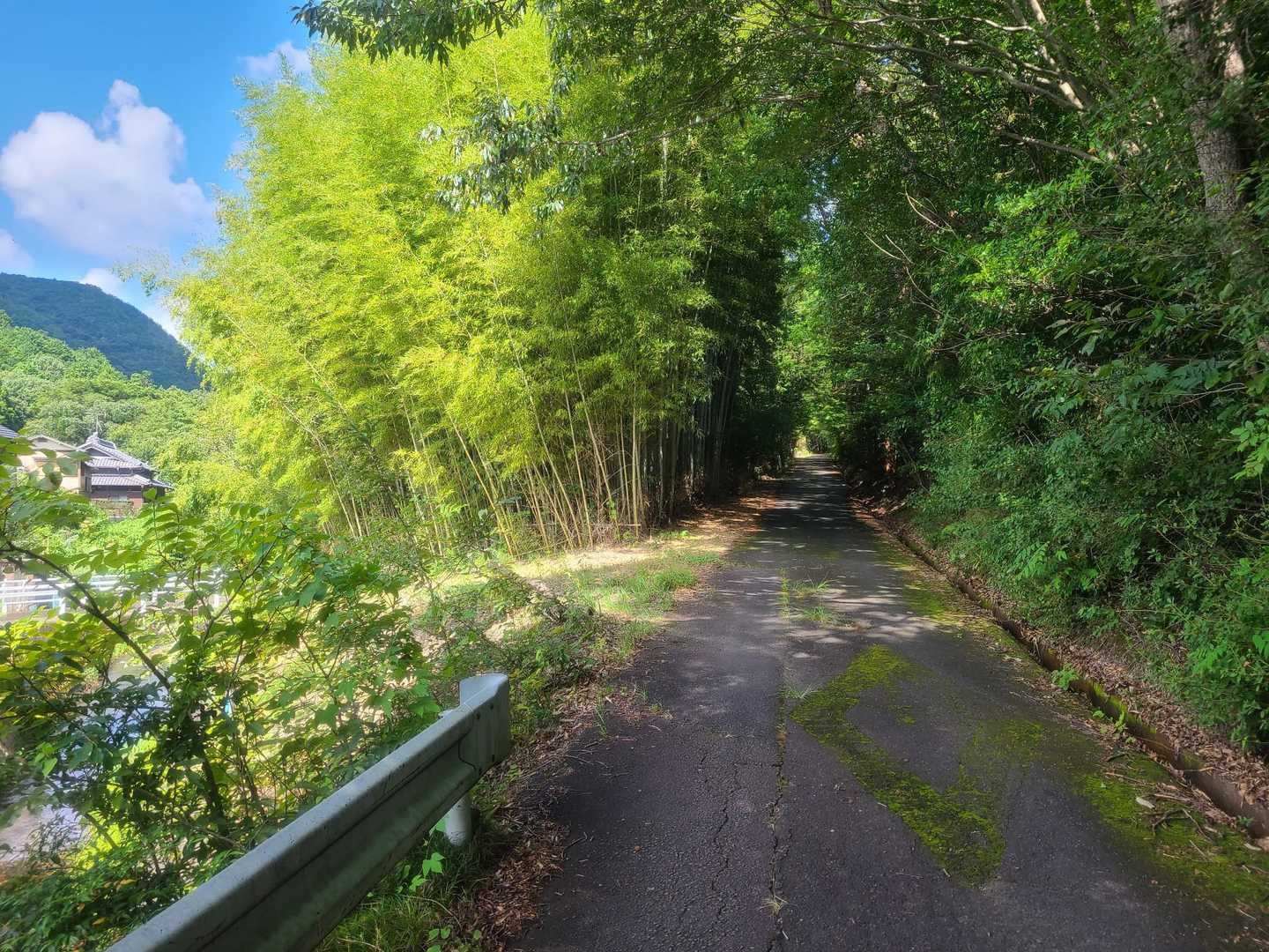 ロードをトテる
苔のひし形って珍しい…
苔の横断歩道なかった🐔