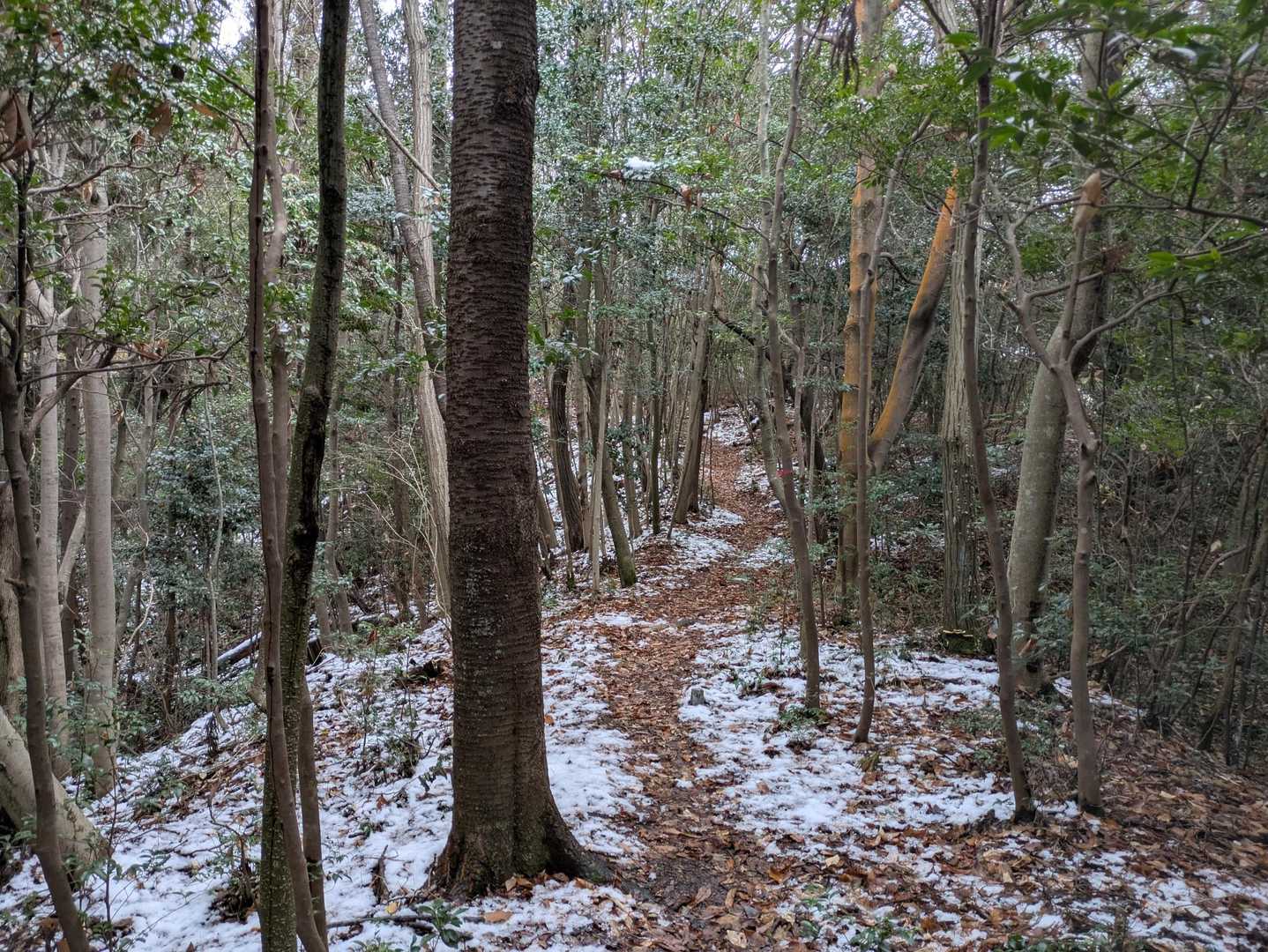 素敵な道です😊👏✨