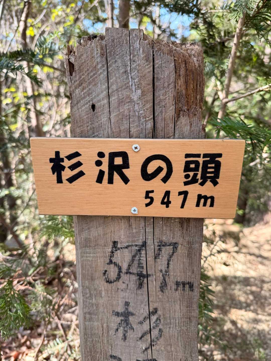 12座目👀